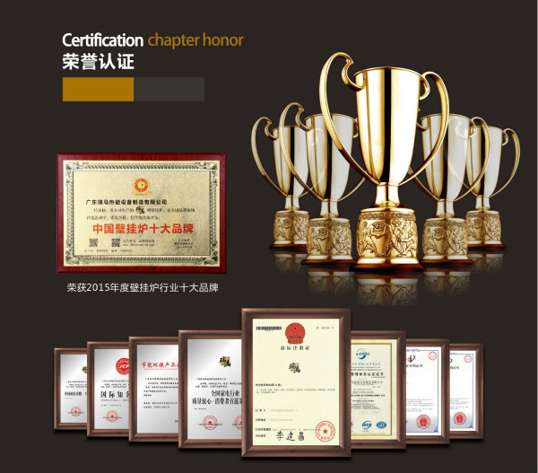 瑞馬燃氣壁掛爐，“代”您開創(chuàng)億萬富豪44